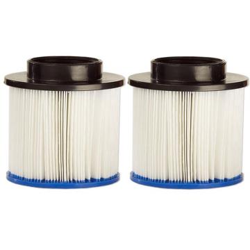 Filtre de spa  X 2 pcs